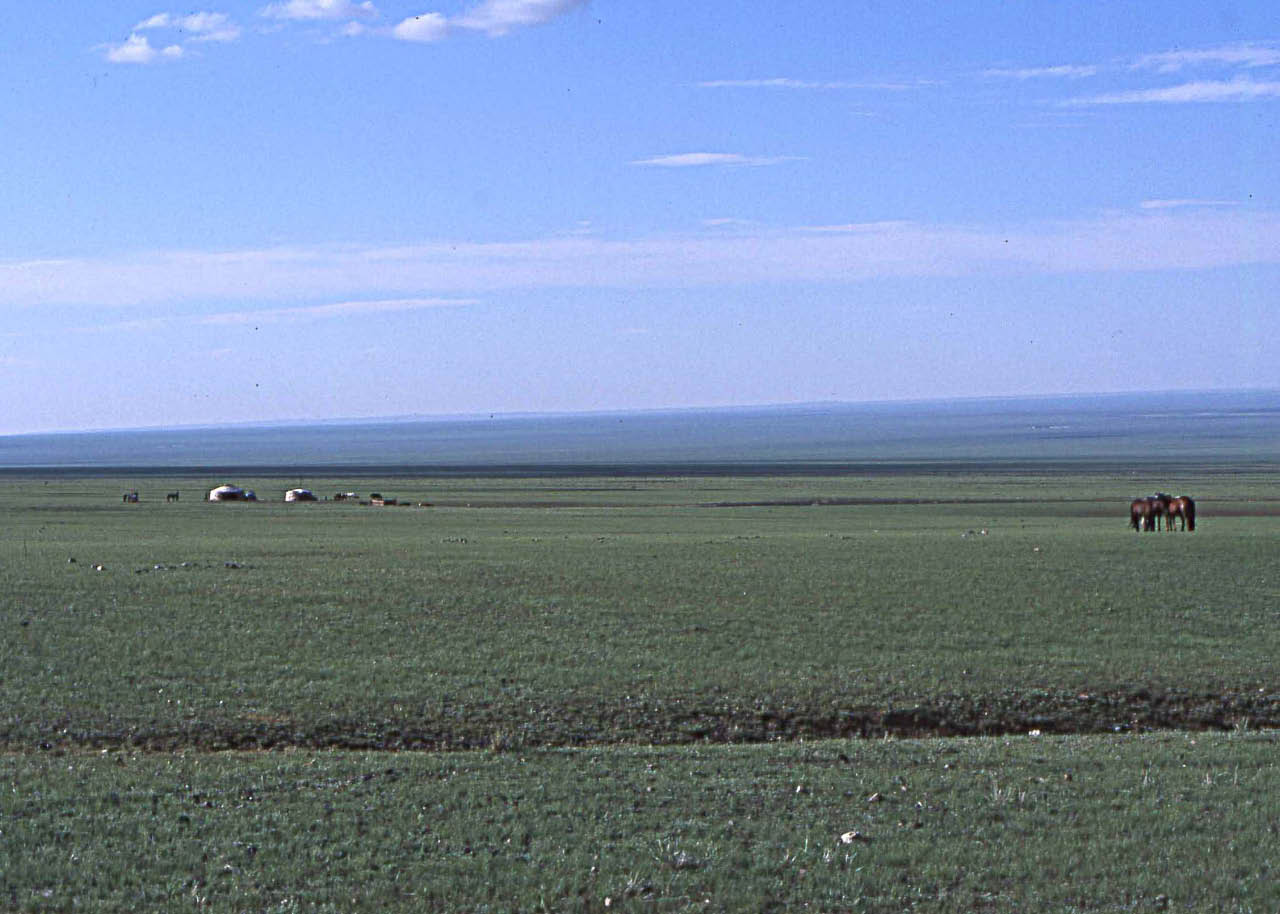steppes d'asie centrale (mongolie)
